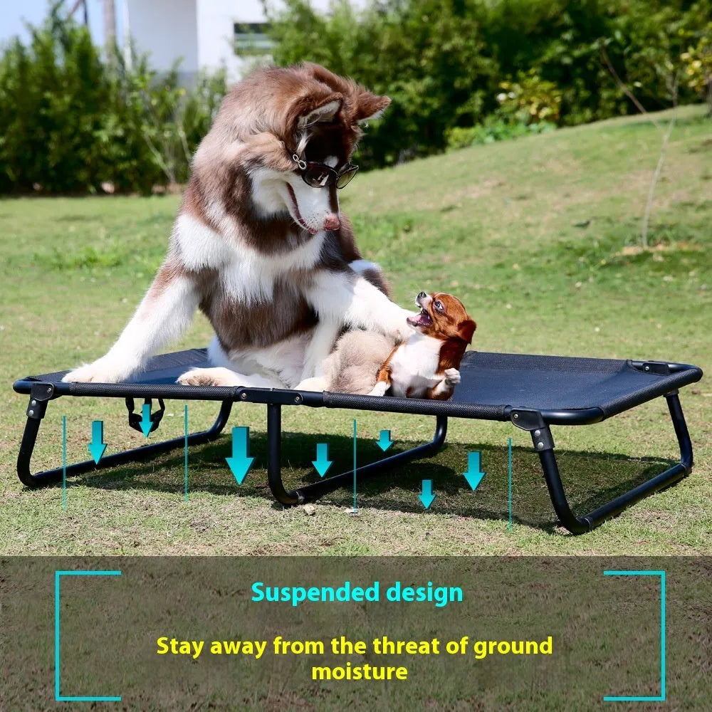 Pet dog iron frame mesh camp bed with steel pipe construction, folding design, and included mattress in size XL.
