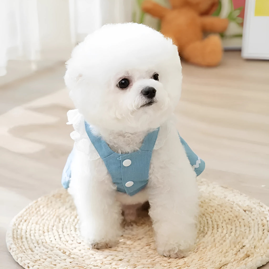Strawberry print denim dog skirt in Bondi Blue colour with traction backing for small dogs