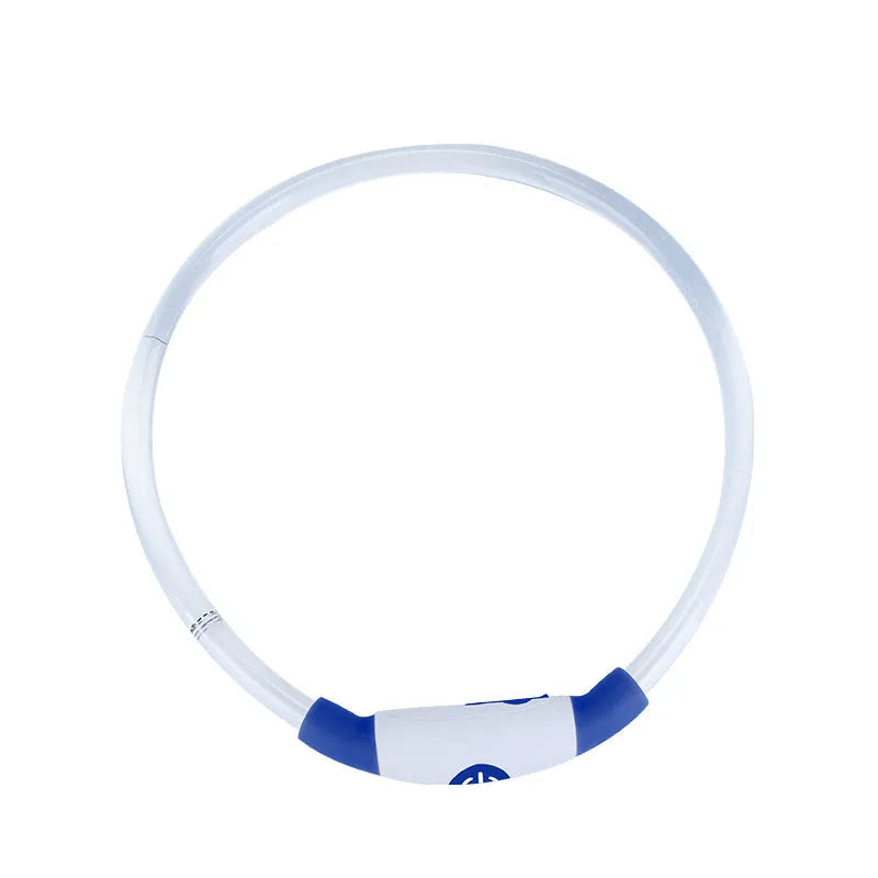 USB rechargeable LED dog collar glowing blue on dog's neck with adjustable TPU strap