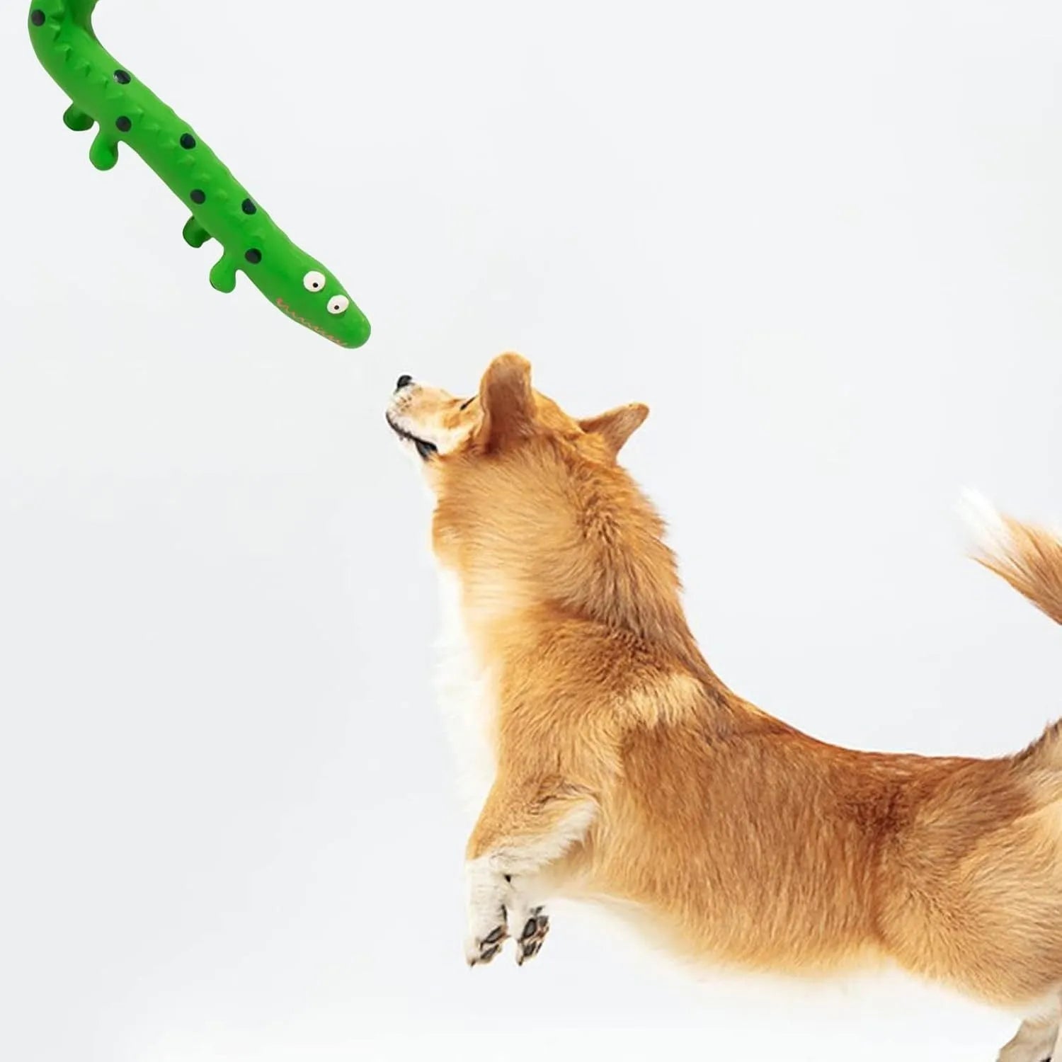 Green lizard-shaped dog chew toy with textured surface and squeaker for teeth cleaning