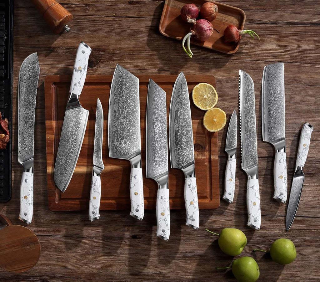 Damascus VG10 steel combined chef's knife with 21cm blade for kitchen use