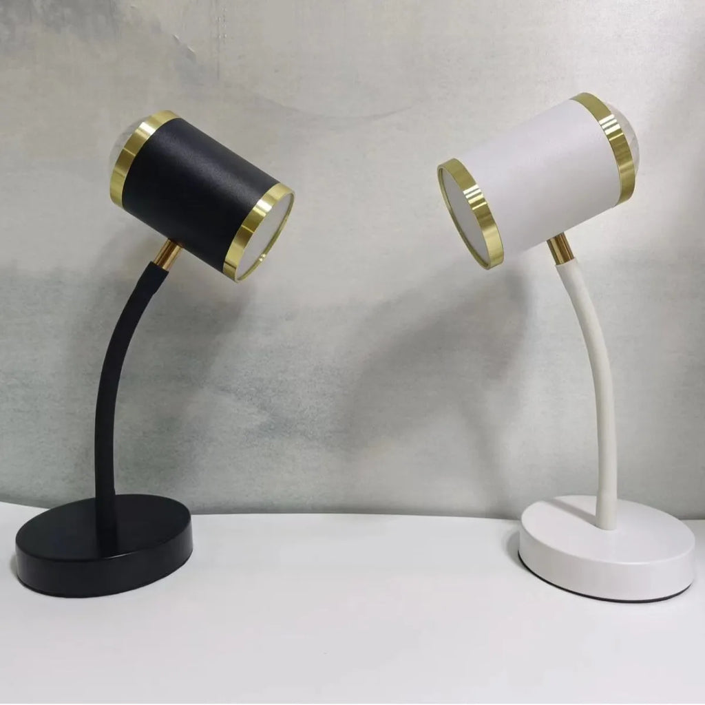 Black and white double-headed photography streaming lamp with metal holder