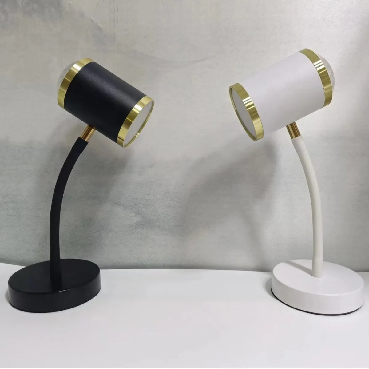 Black and white double-headed photography streaming lamp with metal holder