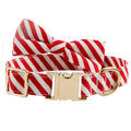 Striped green personalised dog collar with engraved text and a matching fabric bow knot attached.