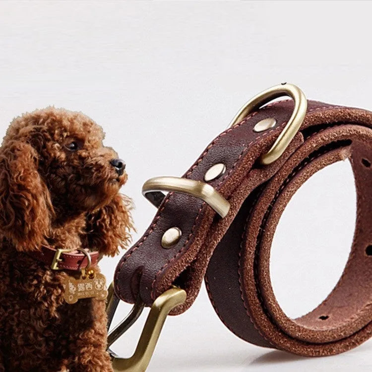 Cowhide dog collar in original leather colour with buckle, six sizes from 24CM to 65CM