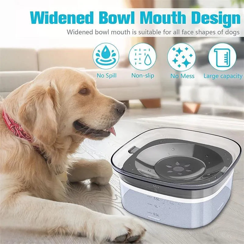 Transparent plastic pet water bowl with floating disc showing water level and non-slip base