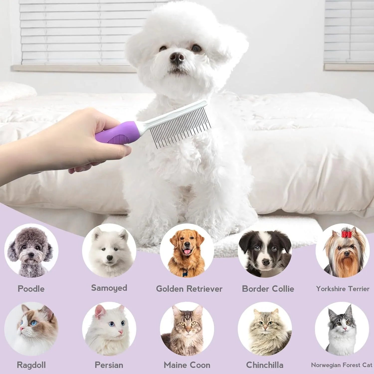 Purple pet grooming comb with stainless steel teeth for dogs and cats