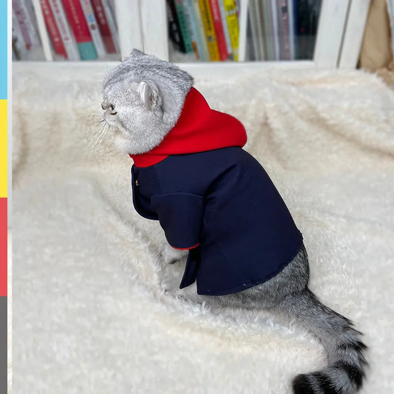Colourful polygonum cuspidatum pattern hoodie worn by a dog as a photo prop costume.