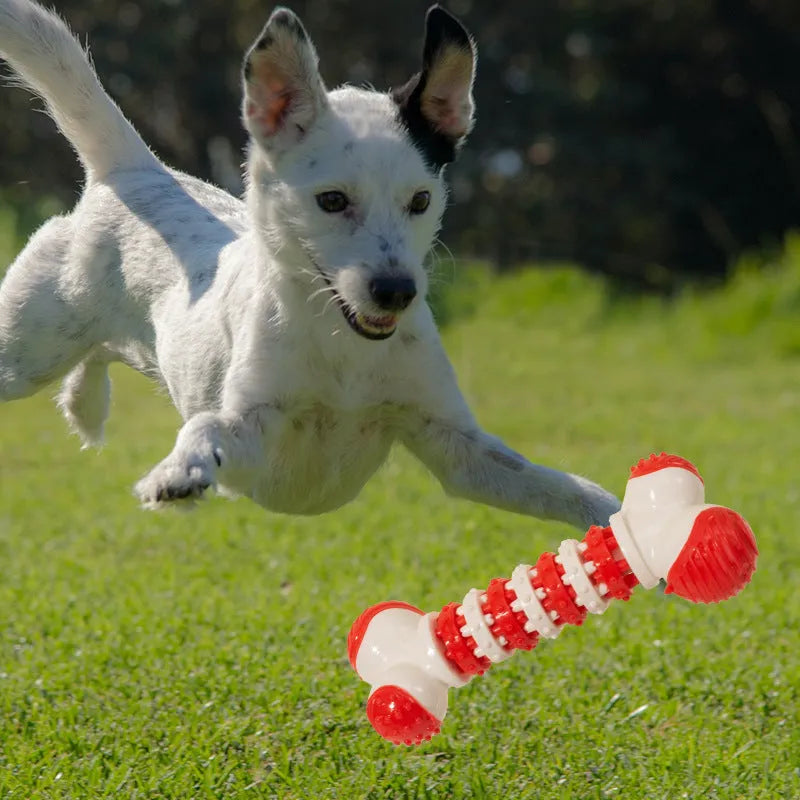 Blue bone-shaped dog toy with a treat holder in the centre for small breeds