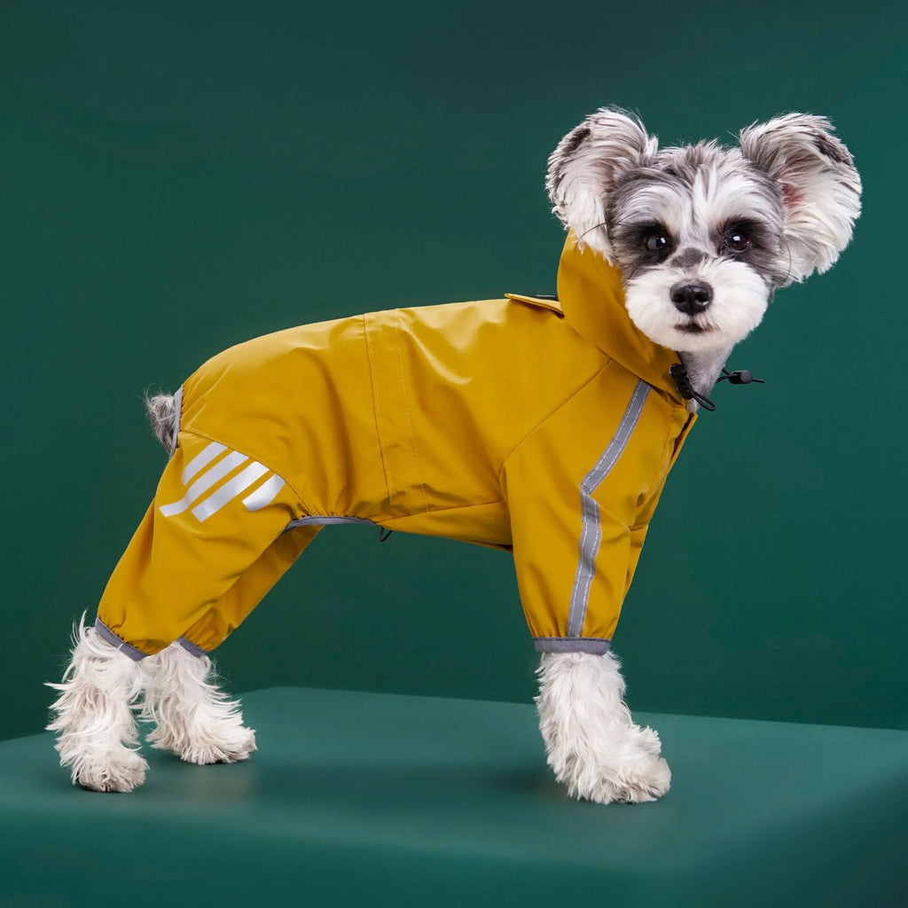 Dog wearing a four-legged waterproof raincoat in a yellow colour, standing on grass