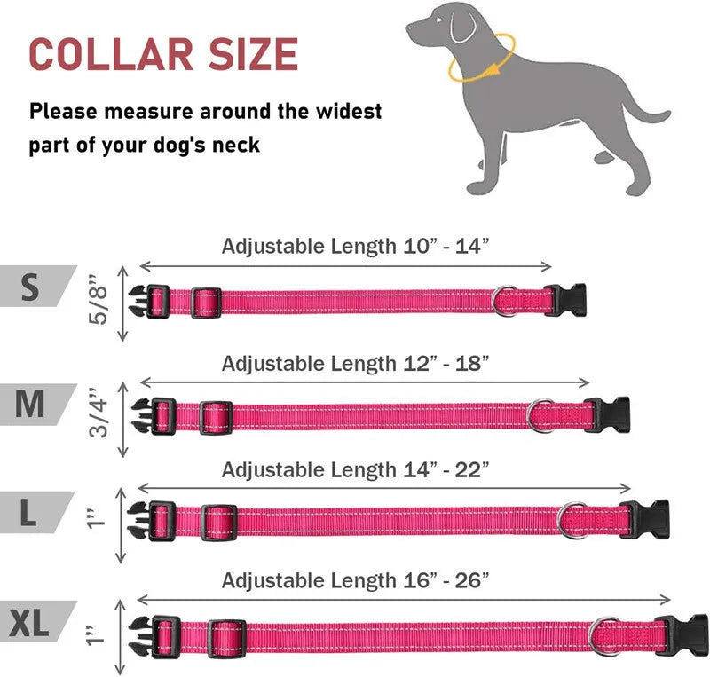 Adjustable chest strap dog collar in nylon material showing colour options