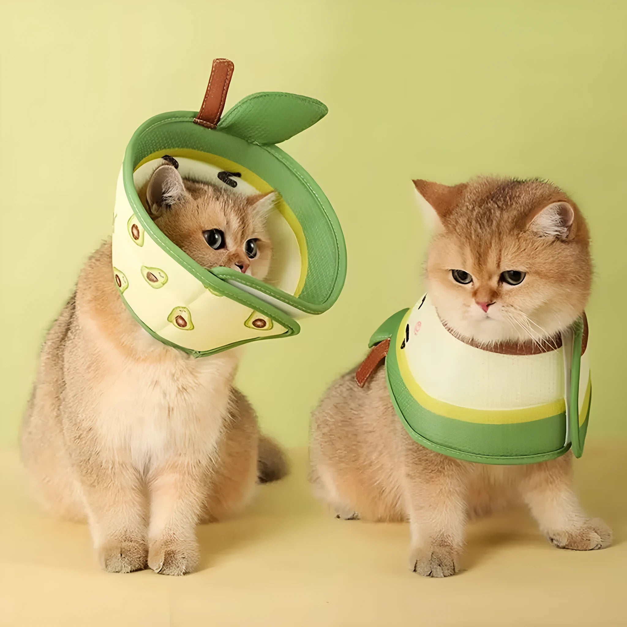 Soft EPE fabric cat recovery collar with adjustable strap and folding edge design