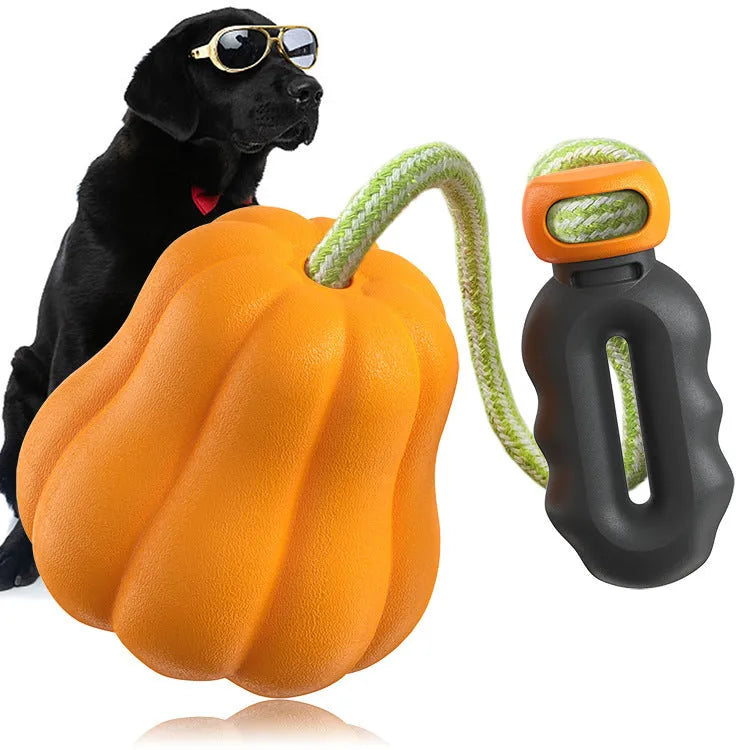 Bite Molar durable plastic dog toy in single pumpkin colour with an attached rope for fetching.