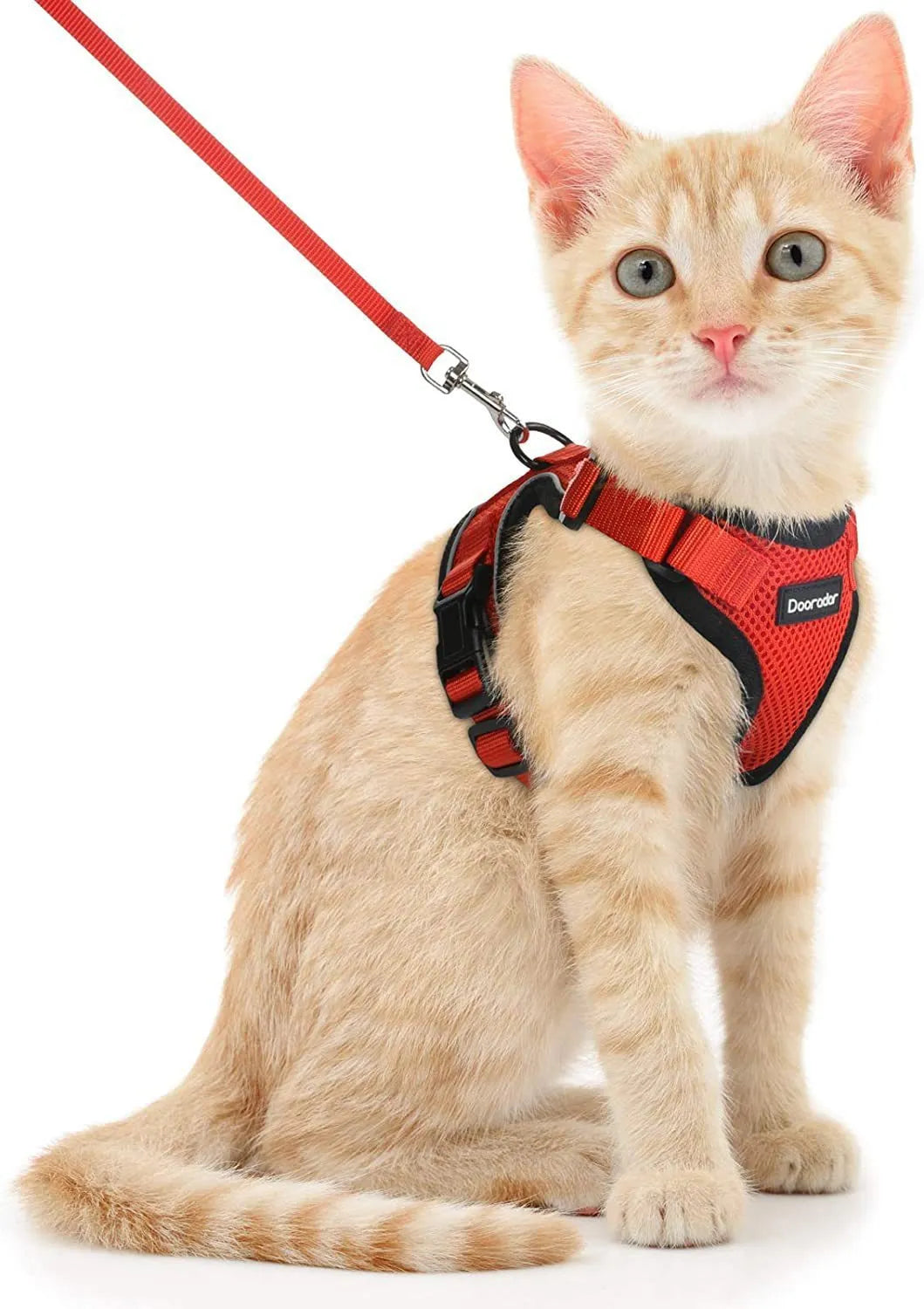 Blue anti-escape adjustable polyester cat leash for small cats size M