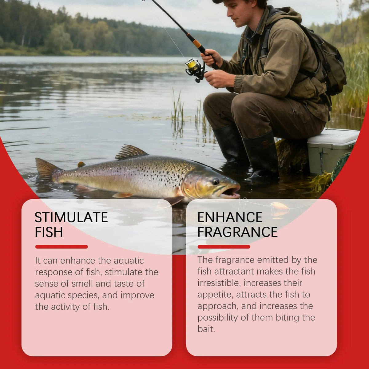 Universal Fish Stunning Bait 60ml liquid bottle with fish attractant label for fishing
