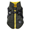 Dog wearing chest strap jacket with cotton padding and polyester outer fabric