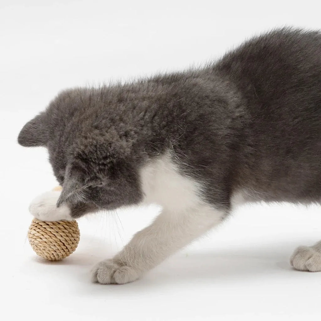 Two cat toys: natural rattan ball with bell and colourful faux feather ball for interactive pet play