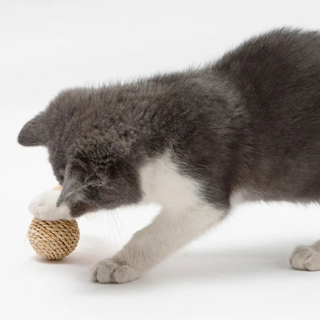 Two cat toys: natural rattan ball with bell and colourful faux feather ball for interactive pet play