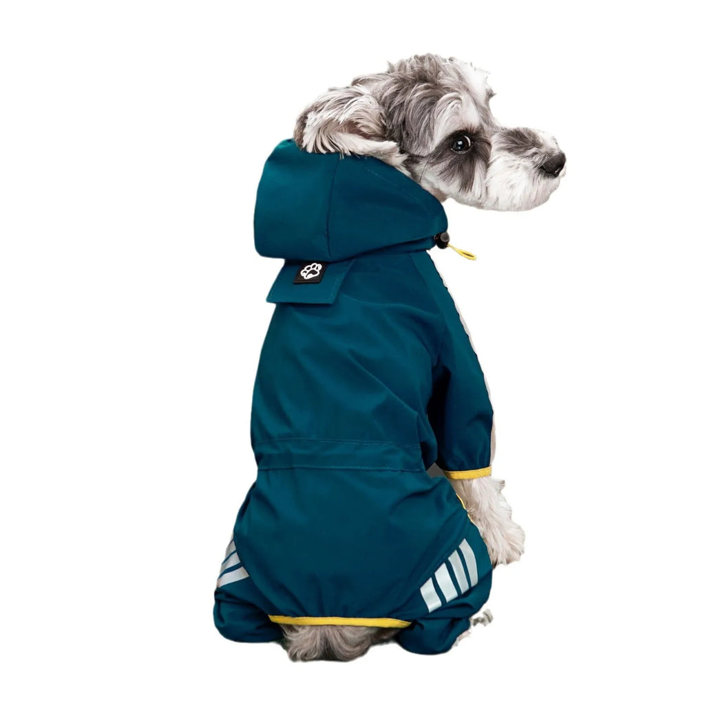 Dog wearing a four-legged waterproof raincoat in a yellow colour, standing on grass