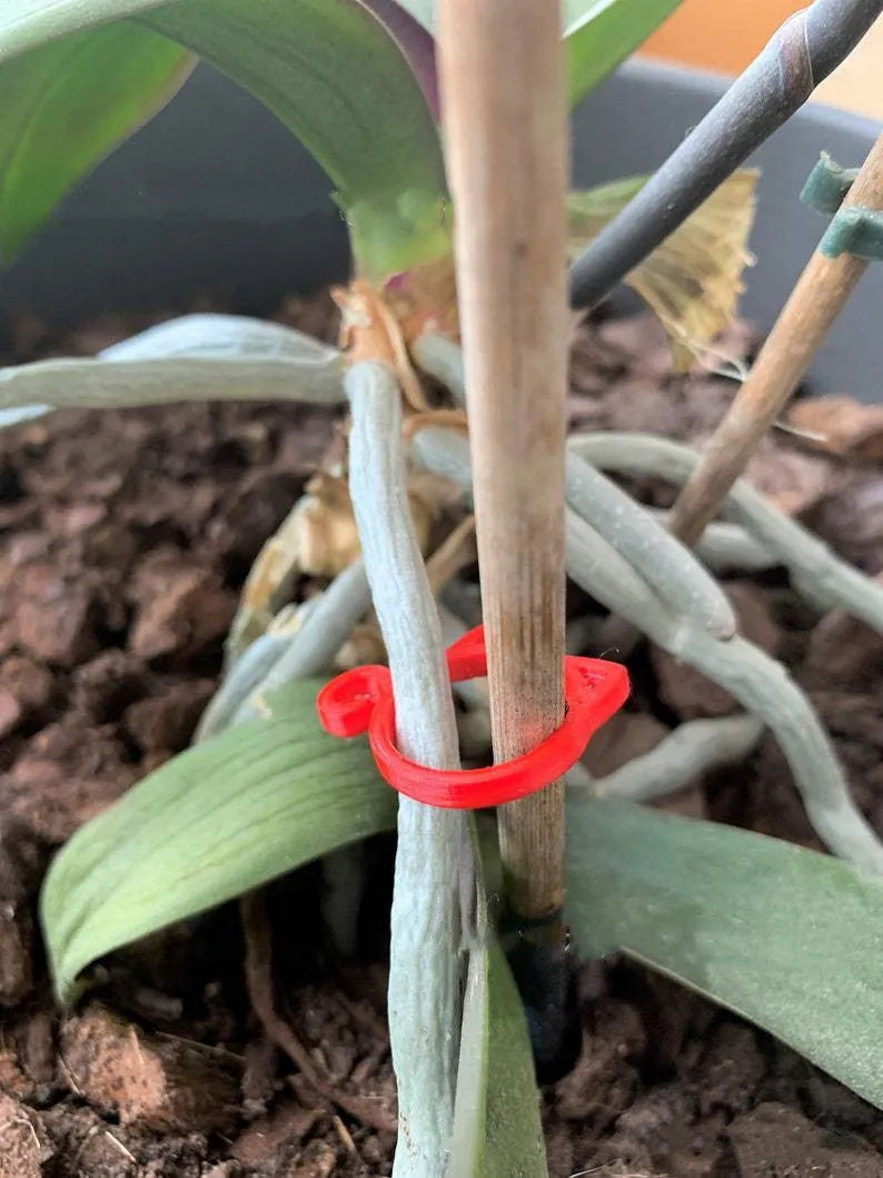 Cat-shaped plastic plant clip in gardening setting with colour options