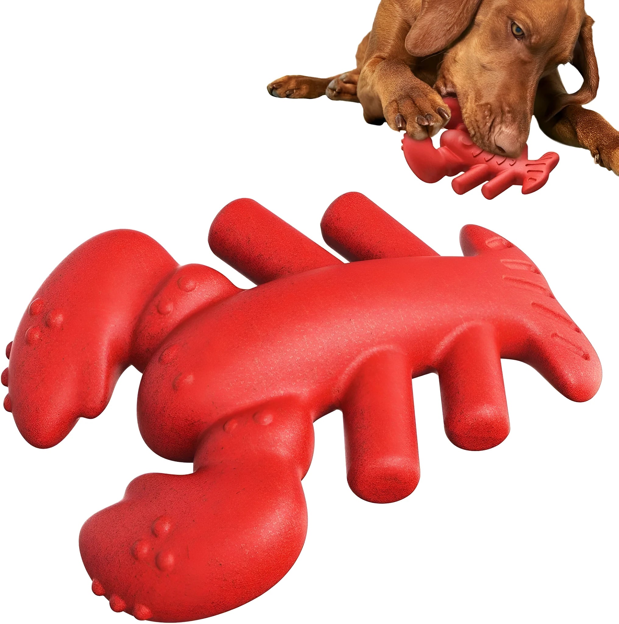 Red hard material dog chew toy for aggressive chewers measuring 170mm for large breed dogs