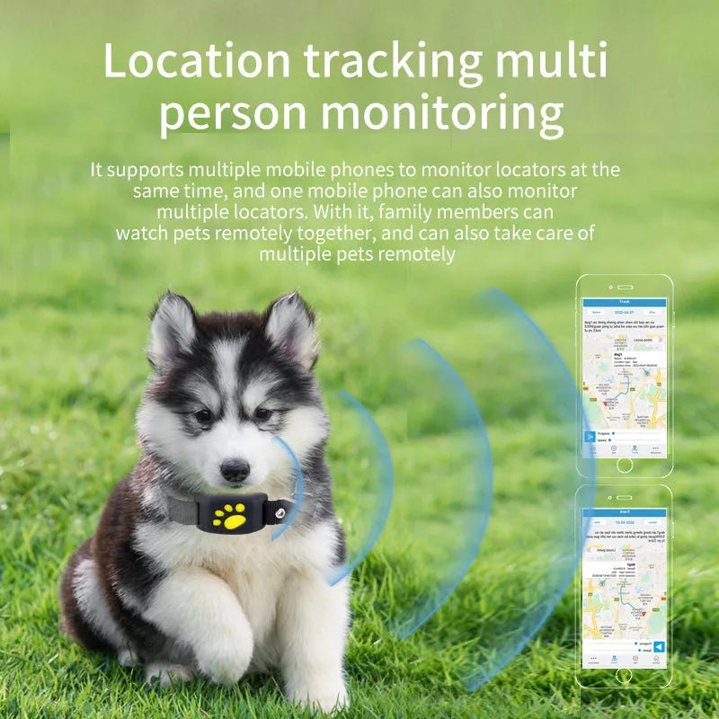 Waterproof GPS pet tracker device in multiple colour options showing compact dimensions