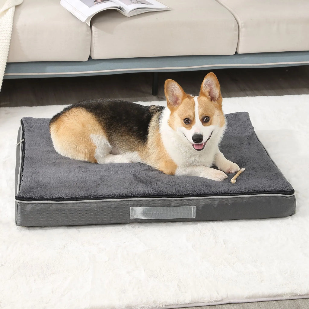 Removable washable sponge dog mat in brown, shown in a domestic setting.
