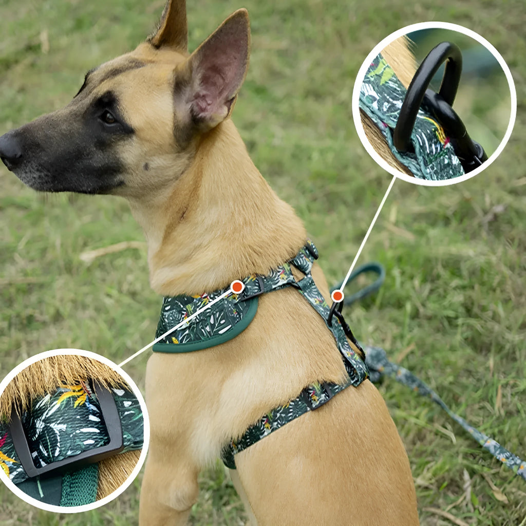 Adjustable cloth dog harness set with haulage rope, collar, waste bag, bow tie, and triangular scarf accessories