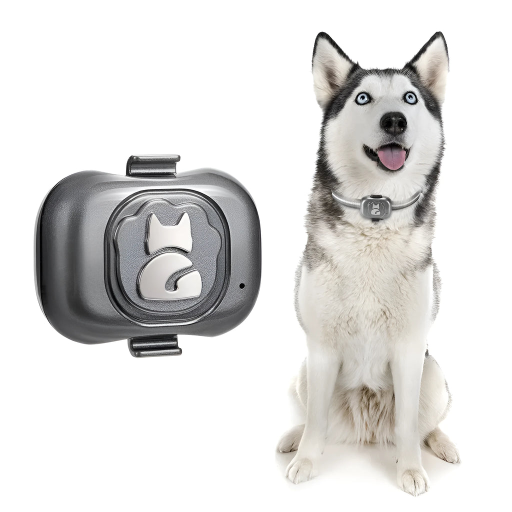 Black GPS pet locator device with hanging rope attachment for dog or cat tracking