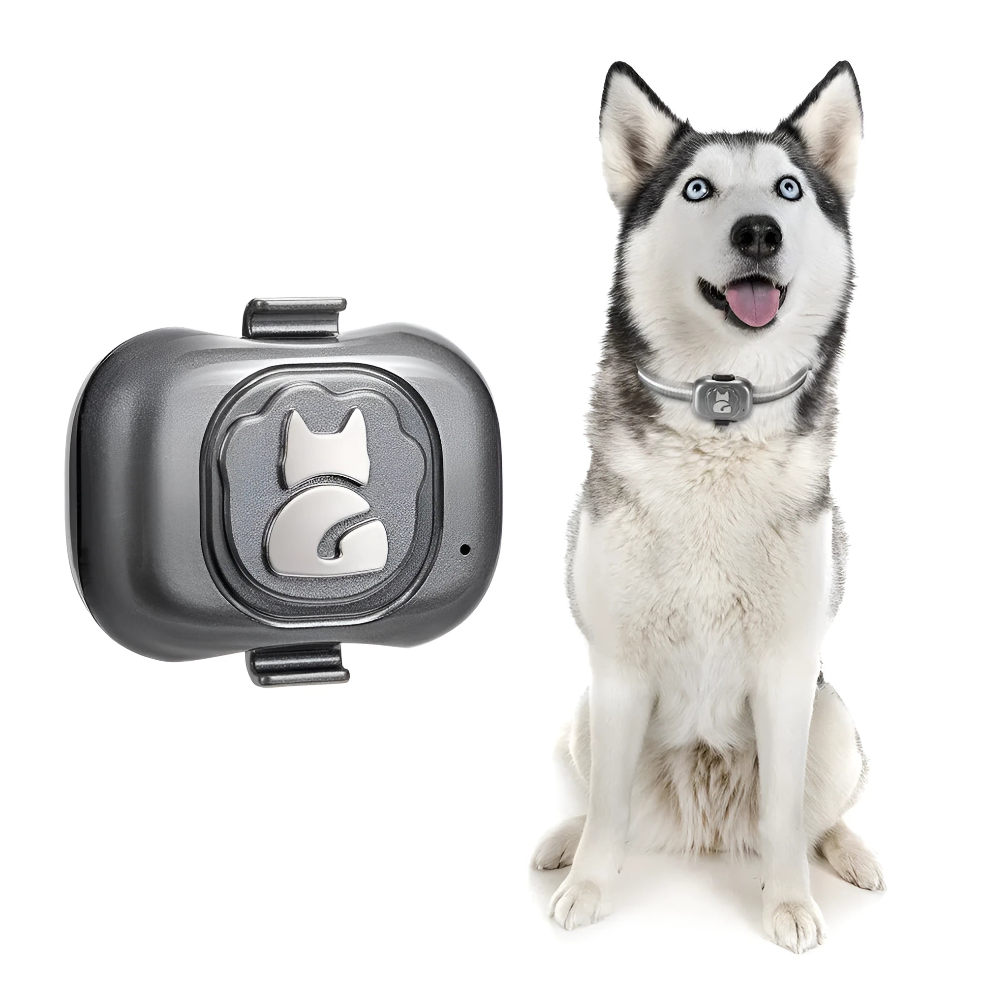 Black GPS pet locator device with hanging rope attachment for dog or cat tracking