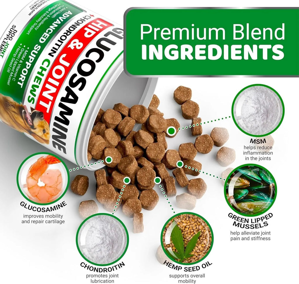 Pet hip and joint supplement chondroitin soft particles for dog joint support