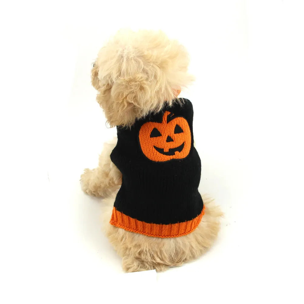 Knitted pumpkin dog sweater in orange black colour on a small dog, shown with measured sizing from XXS to 2XL