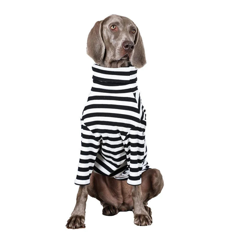 Large dog wearing thin black and white polyester inner clothing