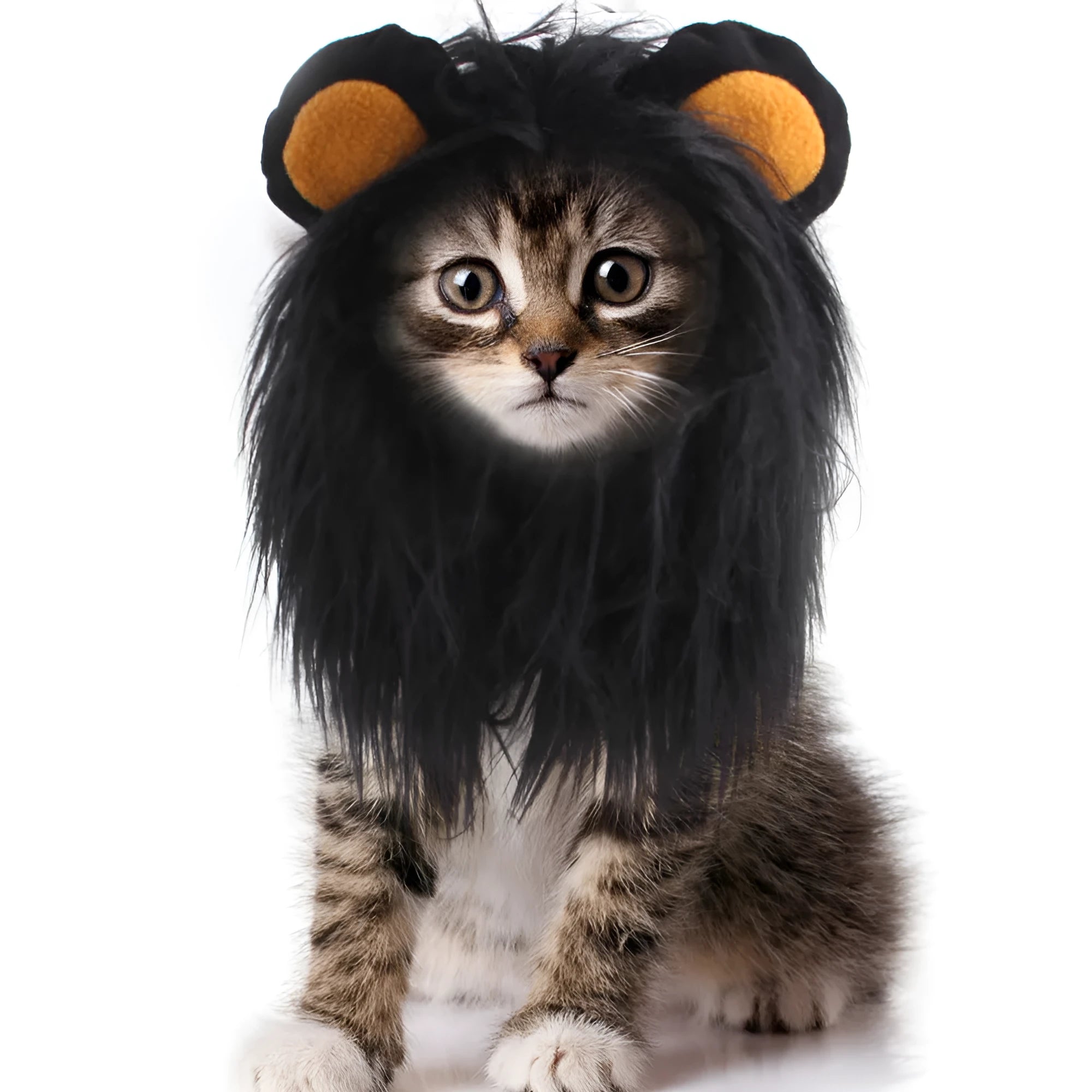 Lion headgear wig for a cat in black synthetic fur with an adjustable chin strap