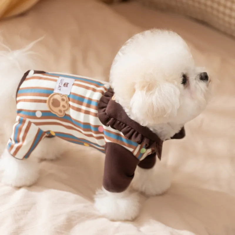 Small brown dog wearing a blue and brown striped onesie with ruffled collar and bear patch
