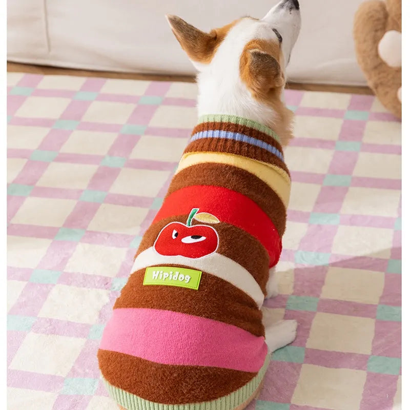 Corgi special rainbow apple striped knitted dog pullover sweater in brown and white on a light background