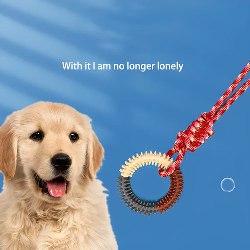 Blue braided rope dog toy with a knot, shown on a wooden floor.