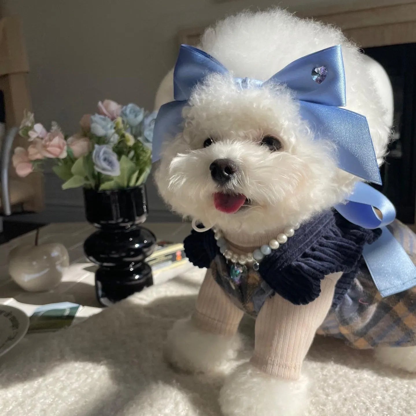 Princess style adjustable bow dog headband in blue colour on small dog