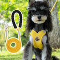 Polyester dog vest and hand holding rope set in blue, green, pink or yellow colour options