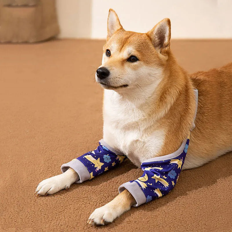 Adjustable dog elbow protection brace with scarf accessory in blue colour for medium large breed