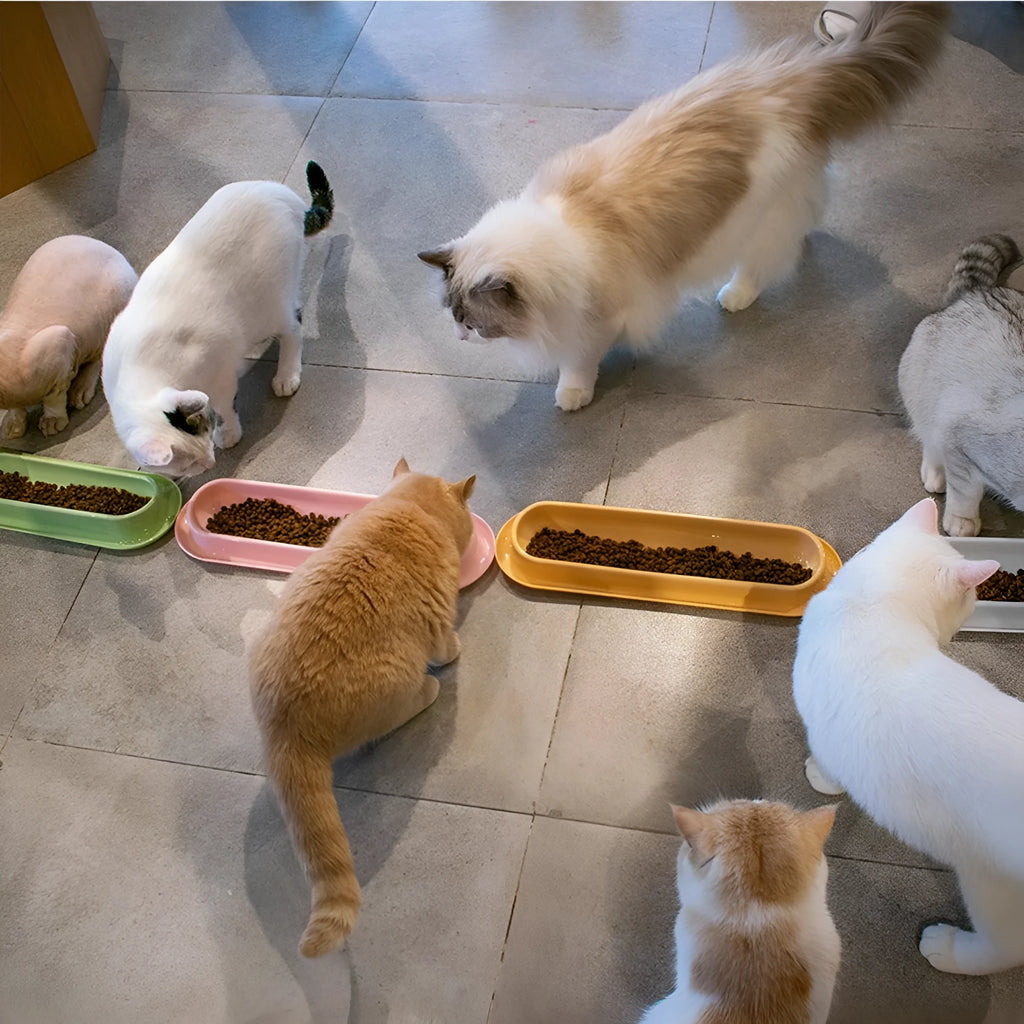 Green dual-compartment pet bowl with removable stainless steel insert and non-slip silicone base