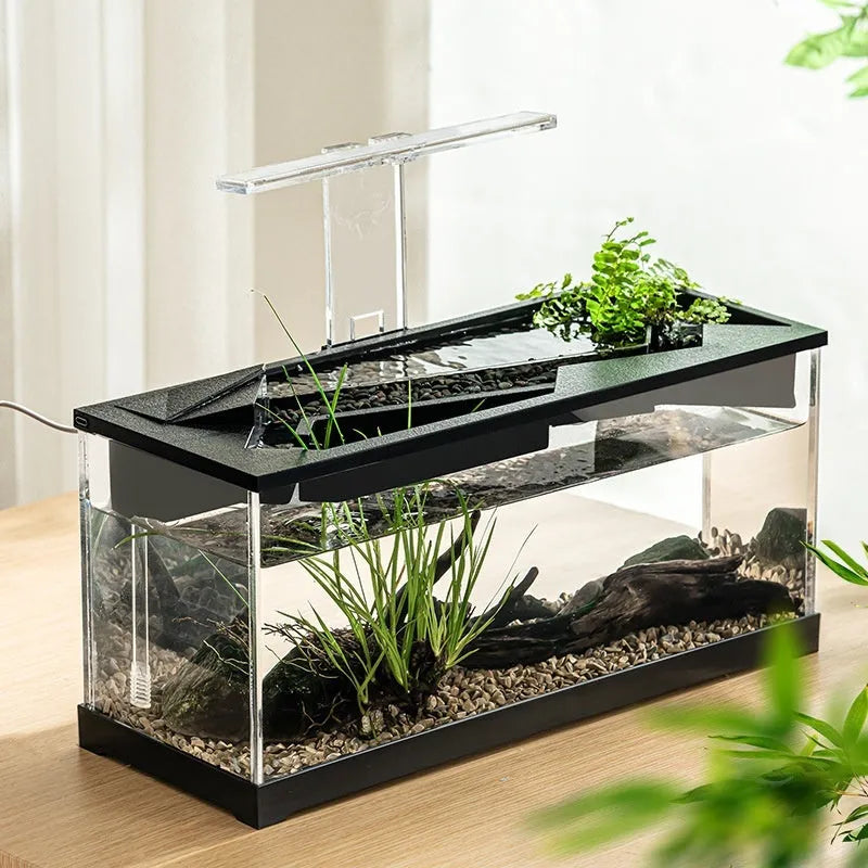 Small acrylic lazy aquarium with integrated filter, water pump, built-in lamp, heating mat, and external light on a desk