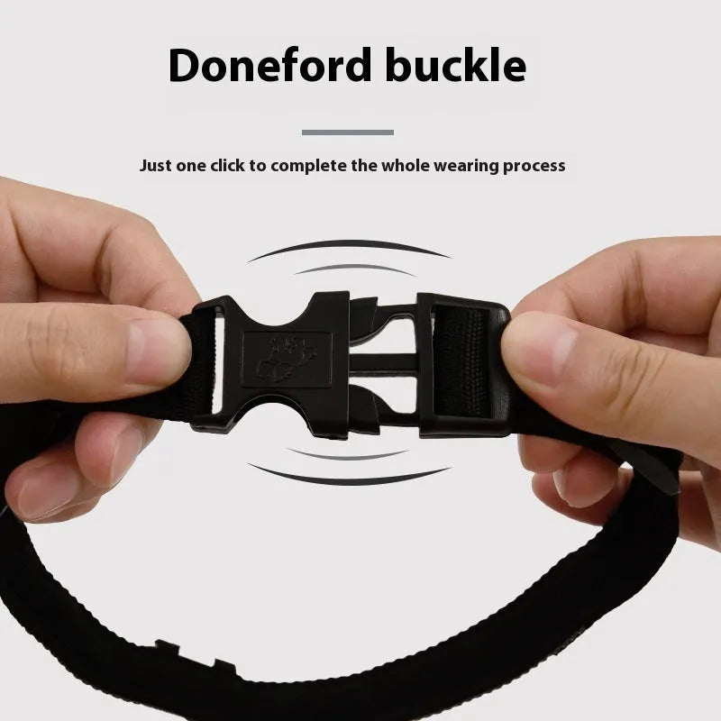 Black LED luminous dog collar with cartoon style on a dog's neck, alongside a separate hand rope.