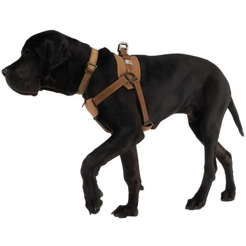 Adjustable dog chest strap training belt with reflective hand holding rope in M, L, XL sizes