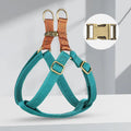 Brown vest-style dog leash with cotton belt and nylon construction on small dog