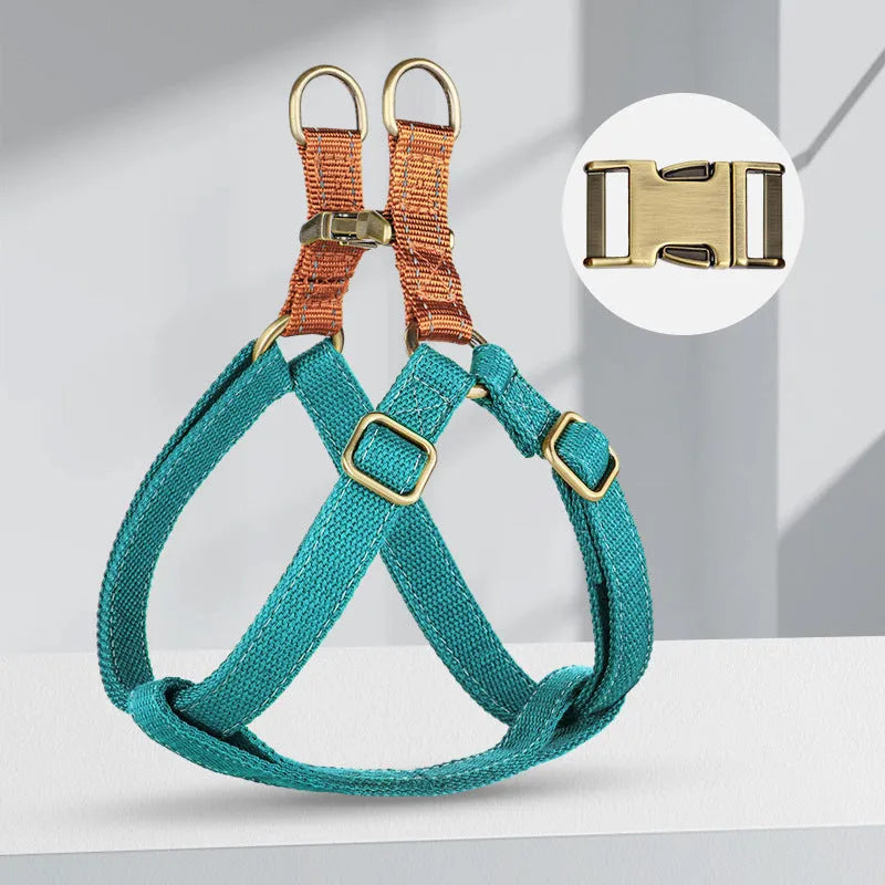 Brown vest-style dog leash with cotton belt and nylon construction on small dog