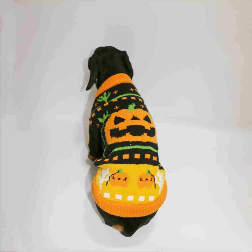 Warm pumpkin coloured polyester pet sweater for dogs and cats, shown on a pet, with size range XS to XL