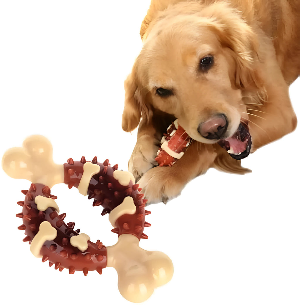 Bone-shaped natural rubber dog chewing toy shown in two different sizes on a plain background