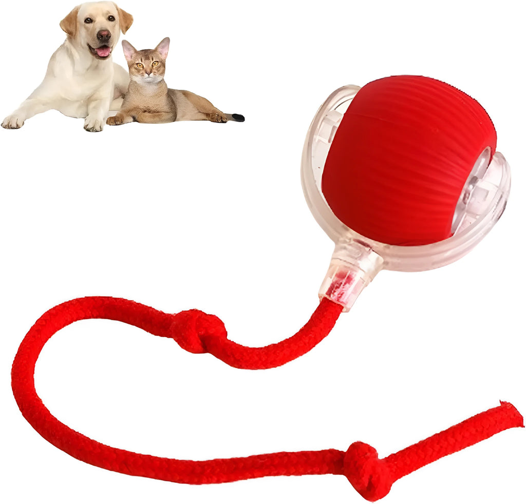 Interactive rolling ball toy with rope for dogs and cats, grey colour option