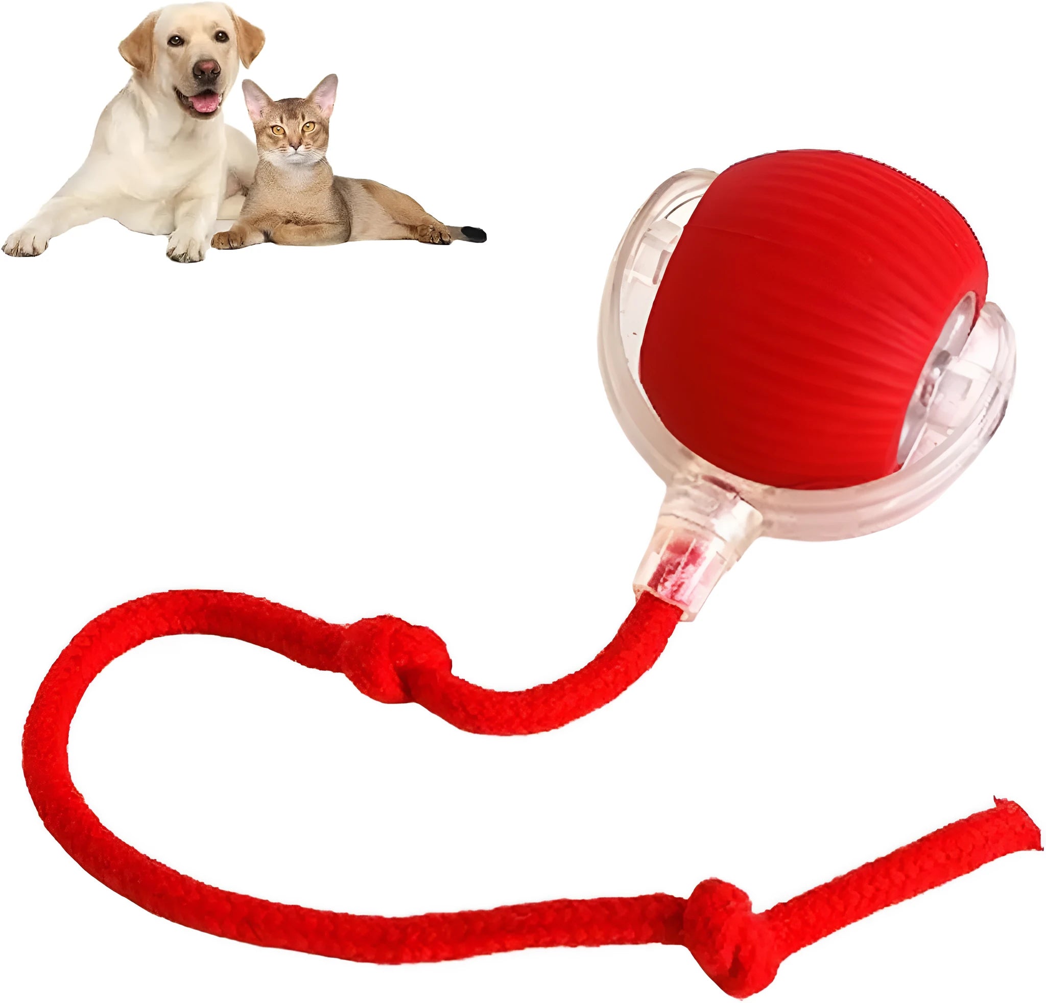 Interactive rolling ball toy with rope for dogs and cats, grey colour option